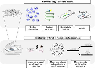 Advances in Microtechnology for Improved Cytotoxicity Assessment